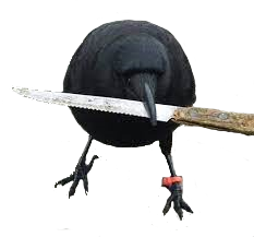 menacing crow with a knife in its beak